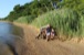 resIMG_20130705_180936_0260.JPG